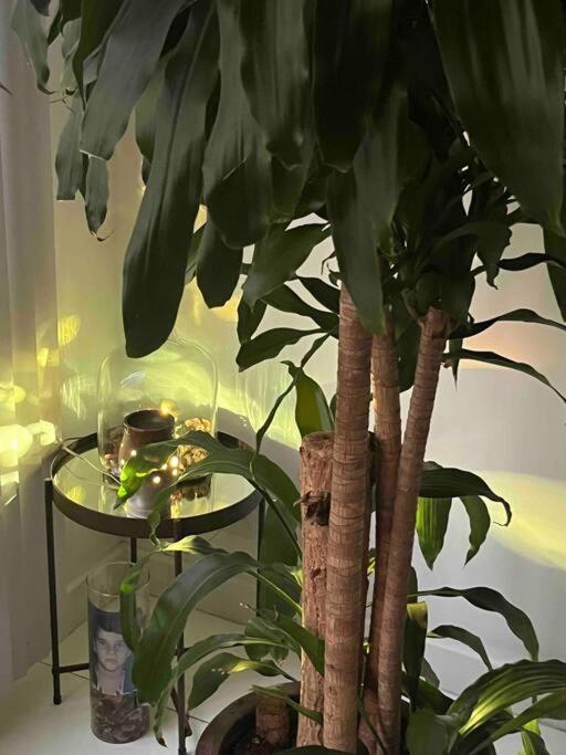 Localizacao Privilegiada Em Copacabana Quarteirao Apartemen